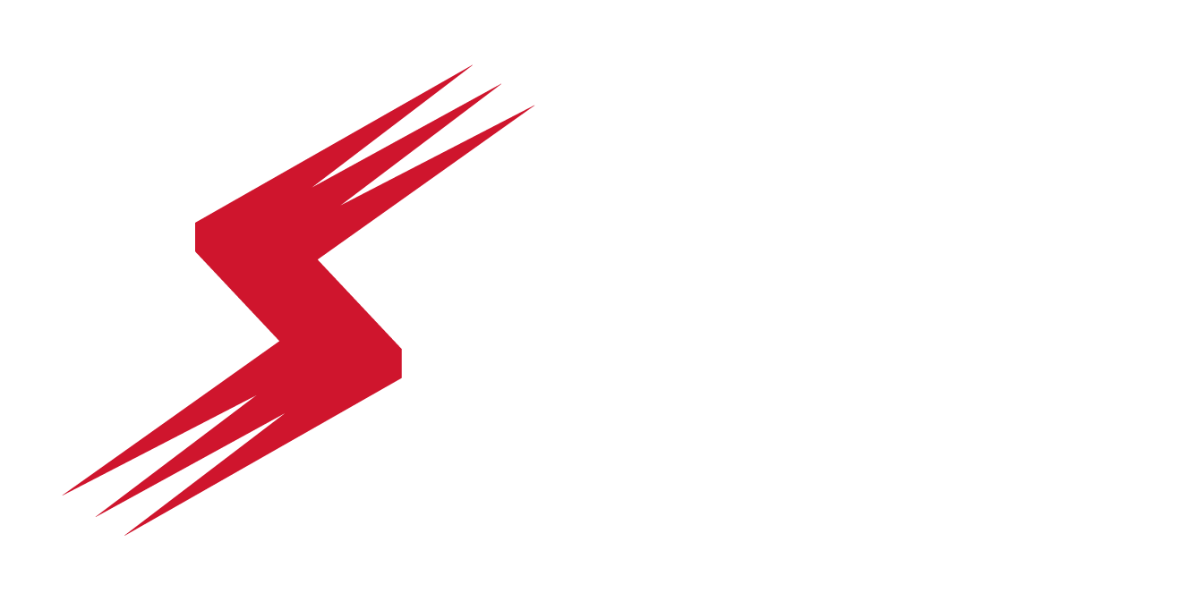Stoneridge Logo